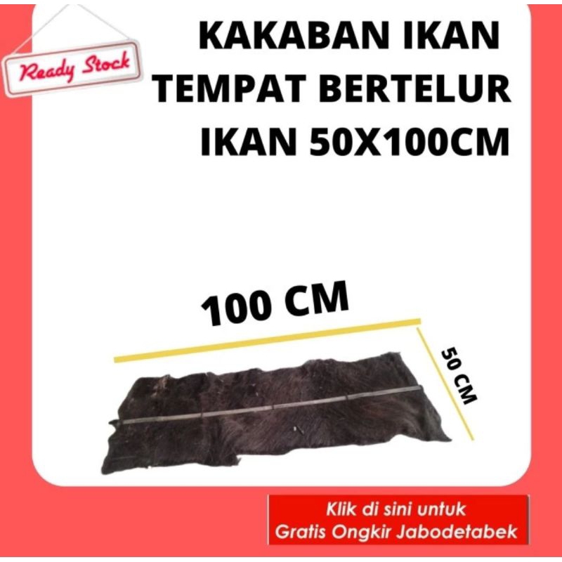 injuk kakaban mediator kakaban ikan siap pakai injuk kakaban siap pakai