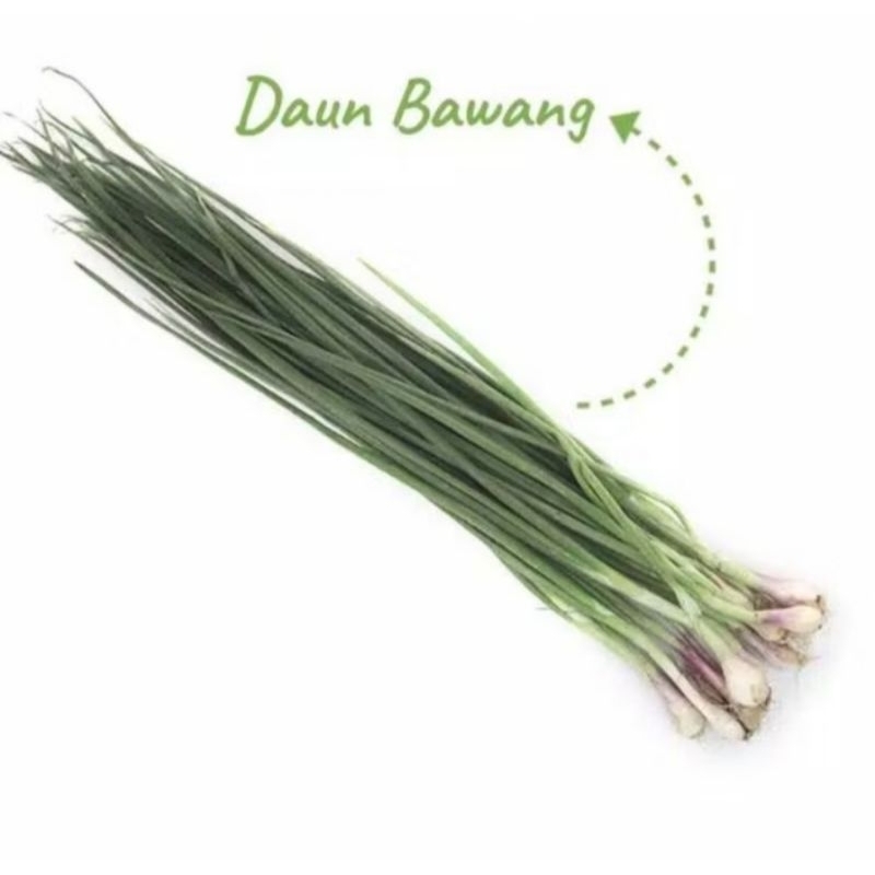 

Daun Bawang Berat 500 Grm / 1 Kg