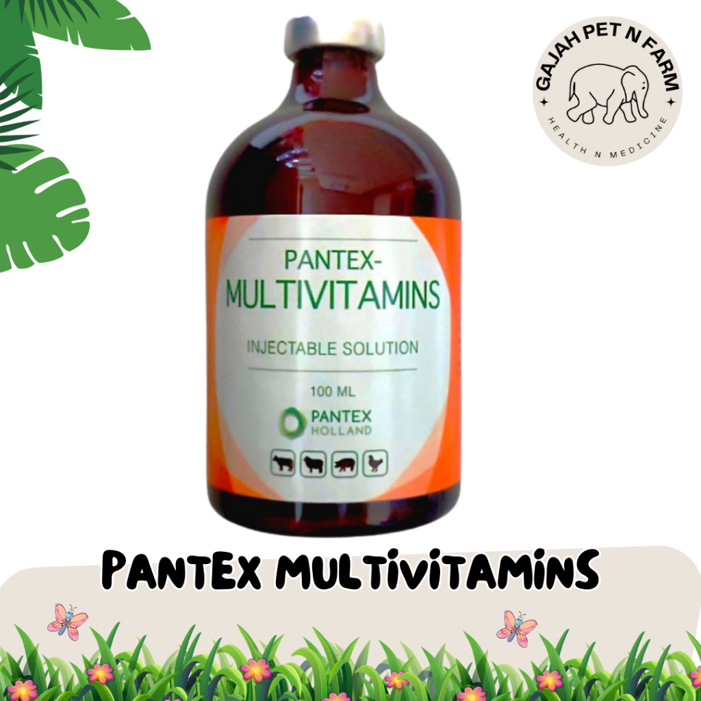 Pantex Multivitamin 100 ml - Multivitamin Pantex - Multivitamin Injeksi - Injeksi Multivitamin - Pan