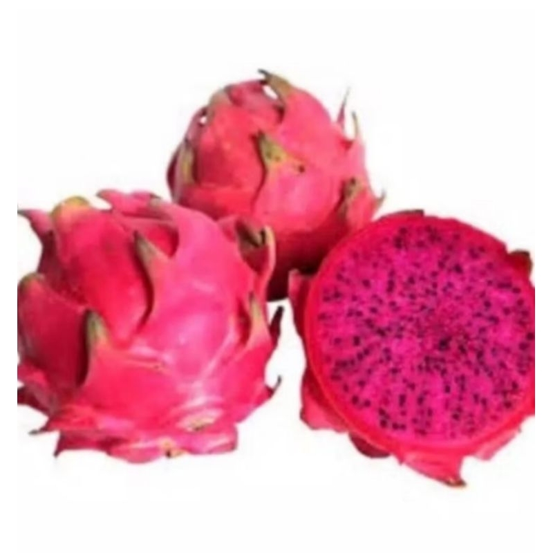 

Buah Naga Merah Fresh 1kg