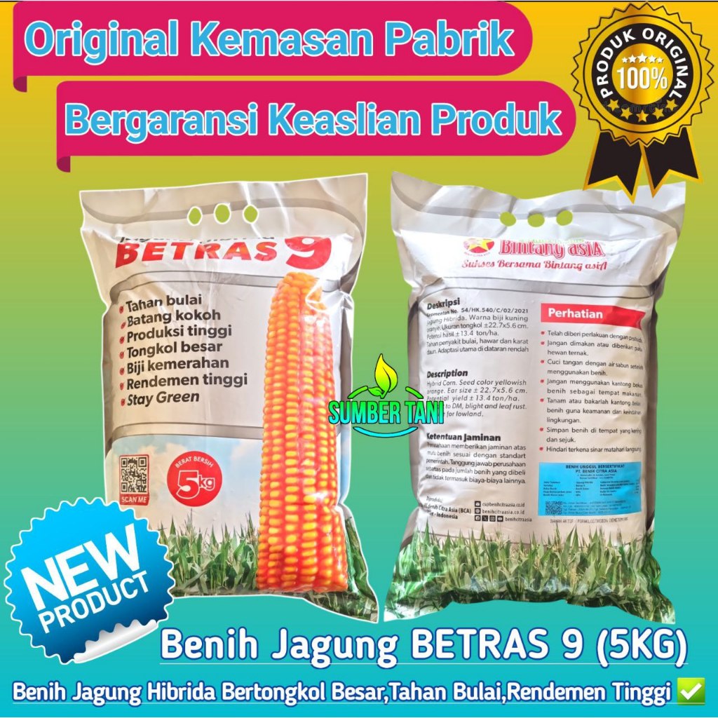 

BETRAS 9 KEMASAN (5KG) EXP : 07-2025 | BENIH JAGUNG HIBRIDA TONGKOL BESAR SERAGAM