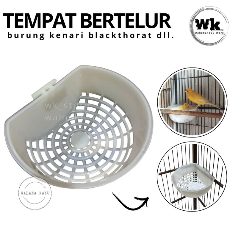 SARANG BURUNG KENARI ELITE SONG | TEMPAT BERTELUR BURUNG FINCH KENARI BLACKTHORAT 1 PCSS