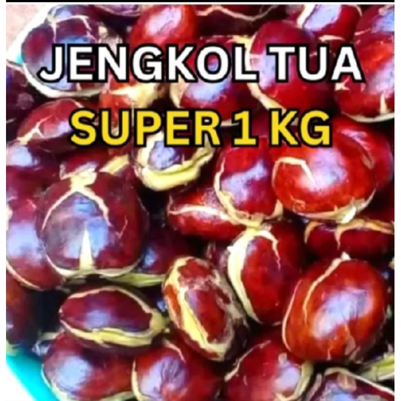 

jengkol kolot super molotot