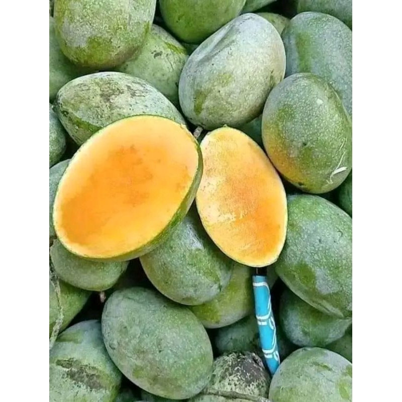 

MANGGA MANALAGI 5kg