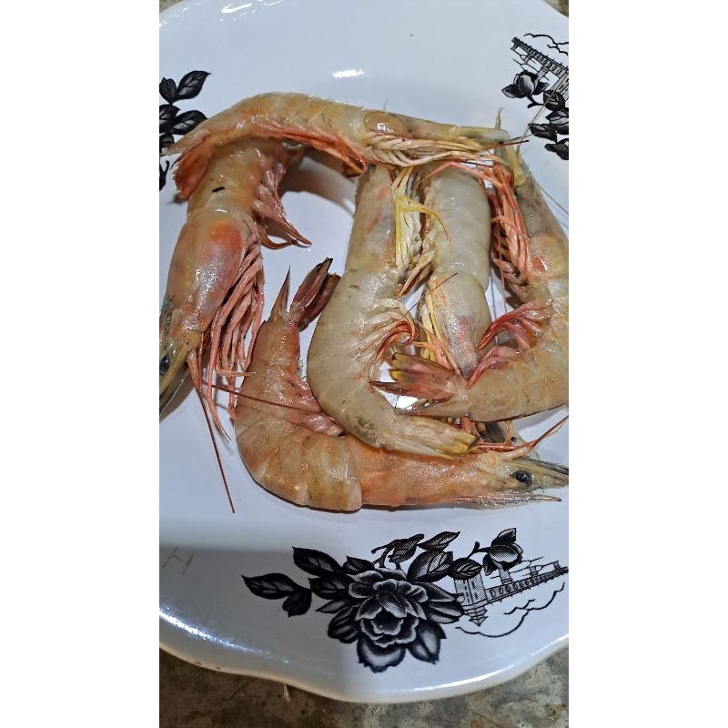 

udang laut ukuran besar berat 1000 gram