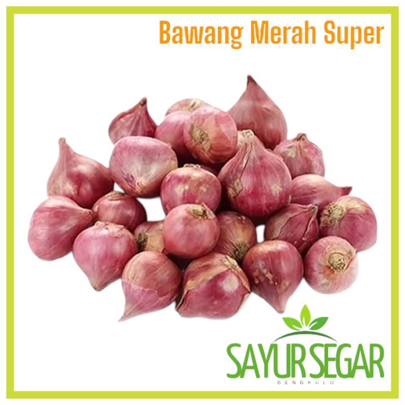 

Bawang Merah Super