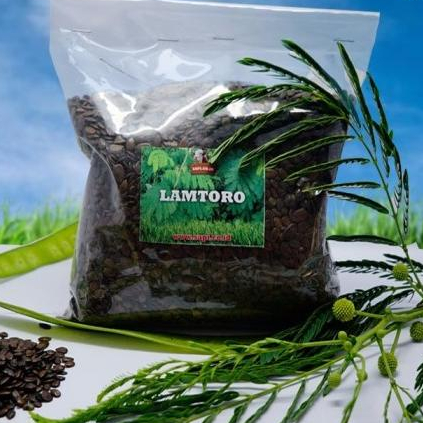 ~~~~~] Benih Lamtoro 1 Kg