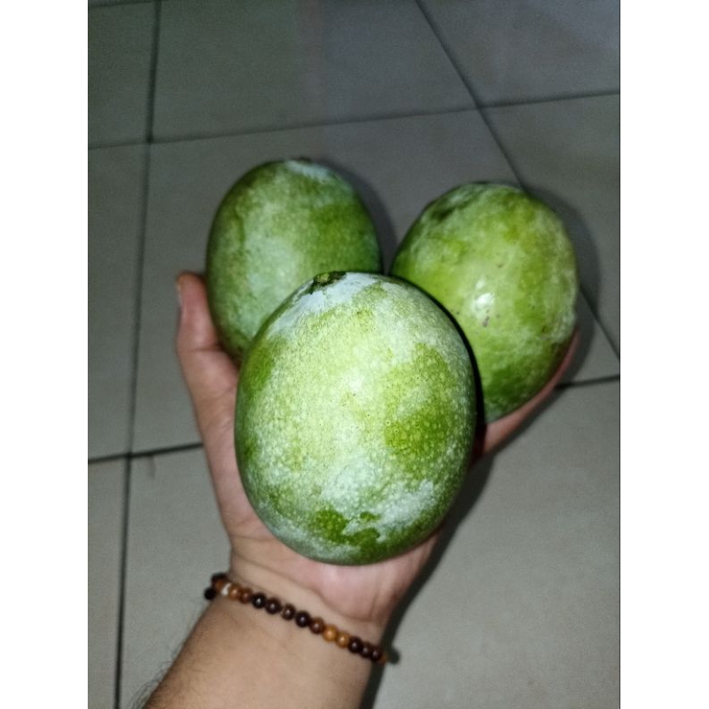

Mangga simanalagi 1kg mengkel mangga nya ajah tanpa bumbu geledeg orang karawang
