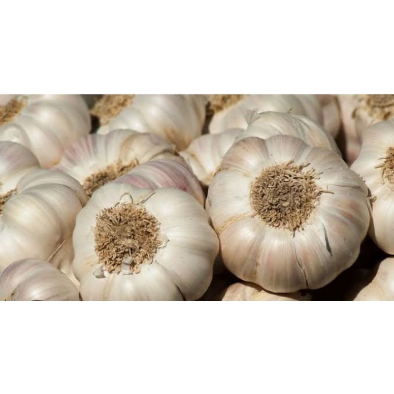 

bawang merah dan bawang putih