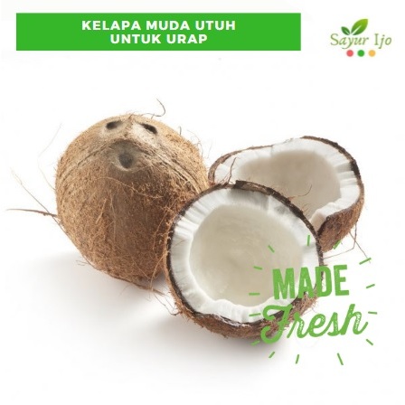 

Kelapa Tua Utuh PER BIJI Untuk Santan / Parut Fresh Coconut Buah Segar