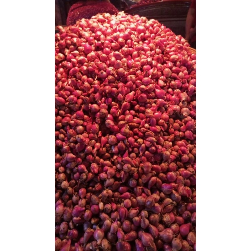 

Bawang Merah Murah 1kg