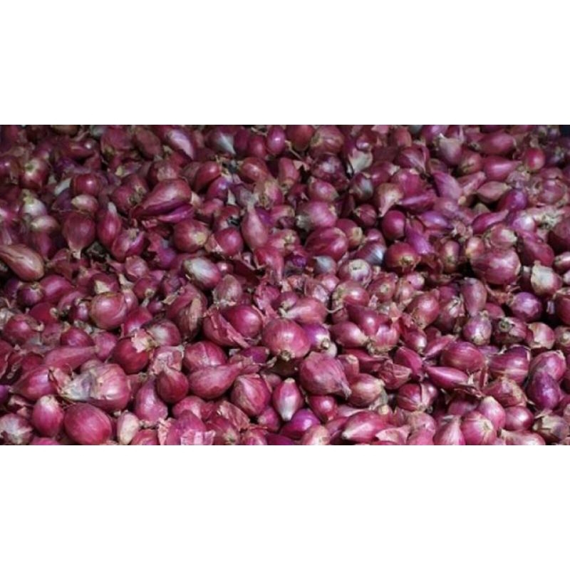 

BAWANG MERAH / BRAMBANG 1 KG