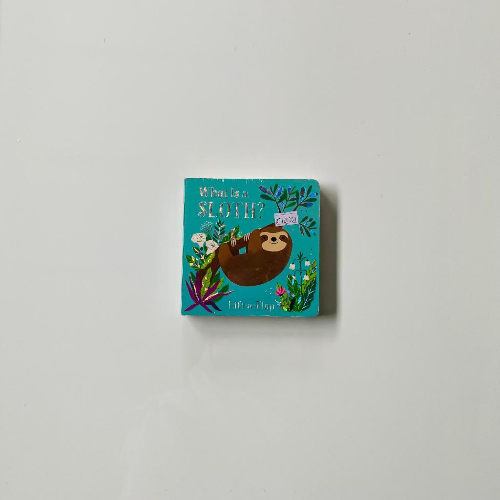 Remainderbook - What is a Sloth? (Chunky Lift-a-Flap Board Book)