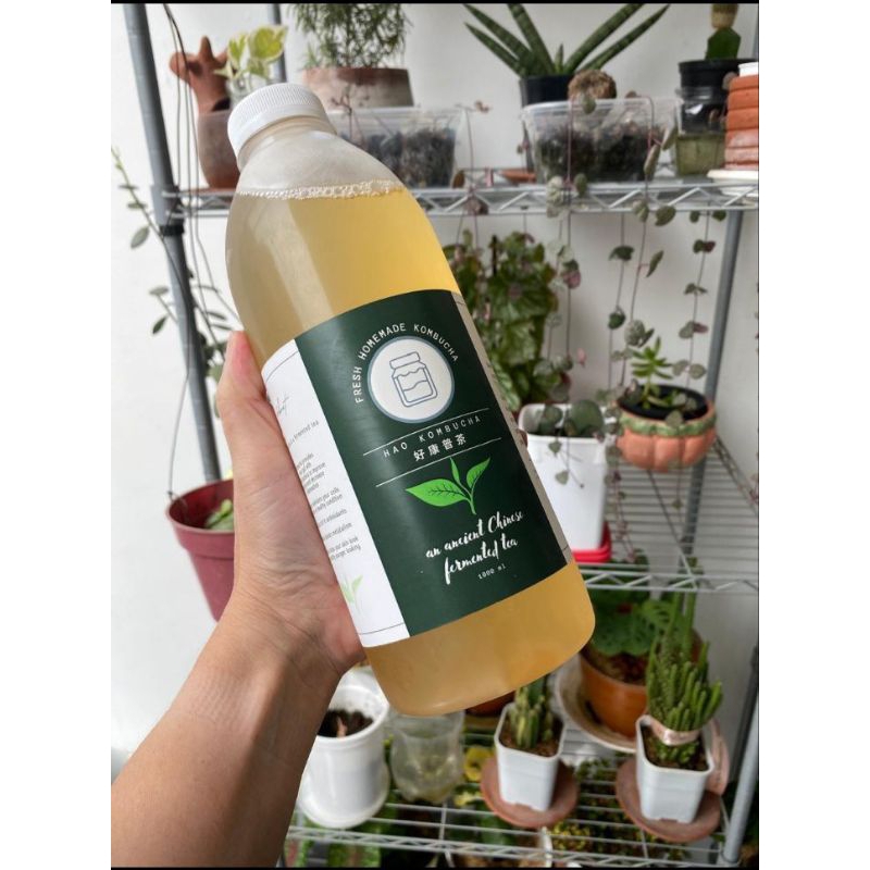 

Hao kombucha