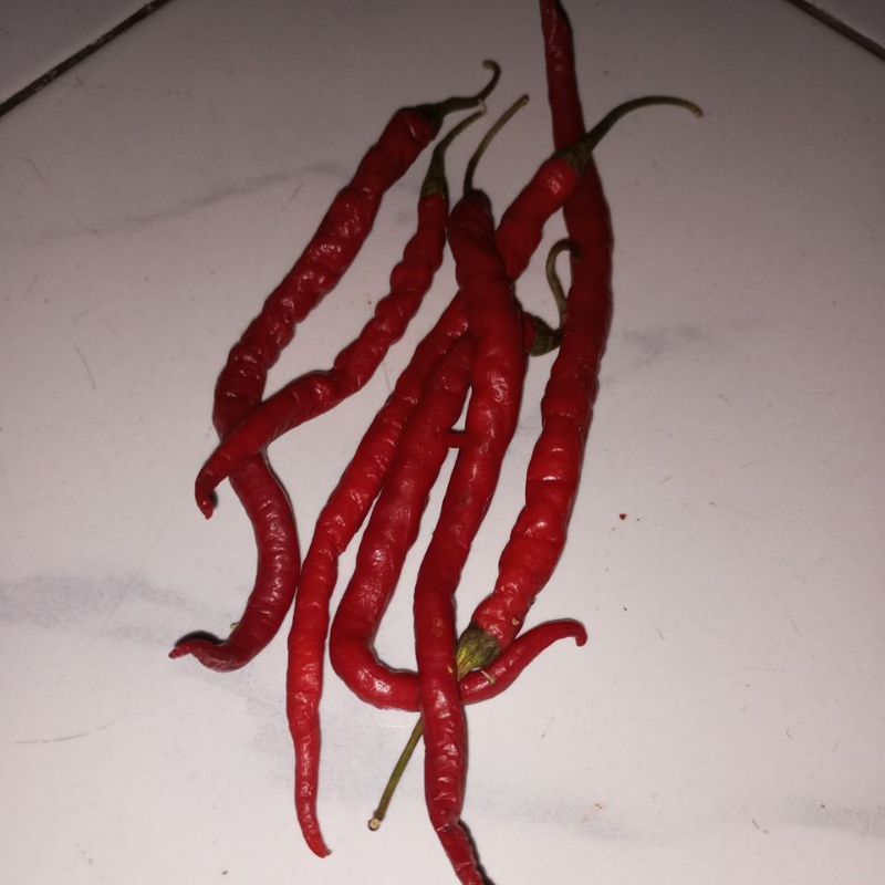 

Cabe,Merah,Keriting,(TKX),100gr.