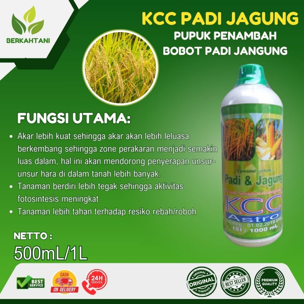KCC Padi Jagung 1 Liter Pupuk Penambah Bobot Padi Jagung