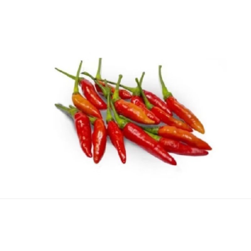 

Cabe Rawit Merah 250gram - 1 kg