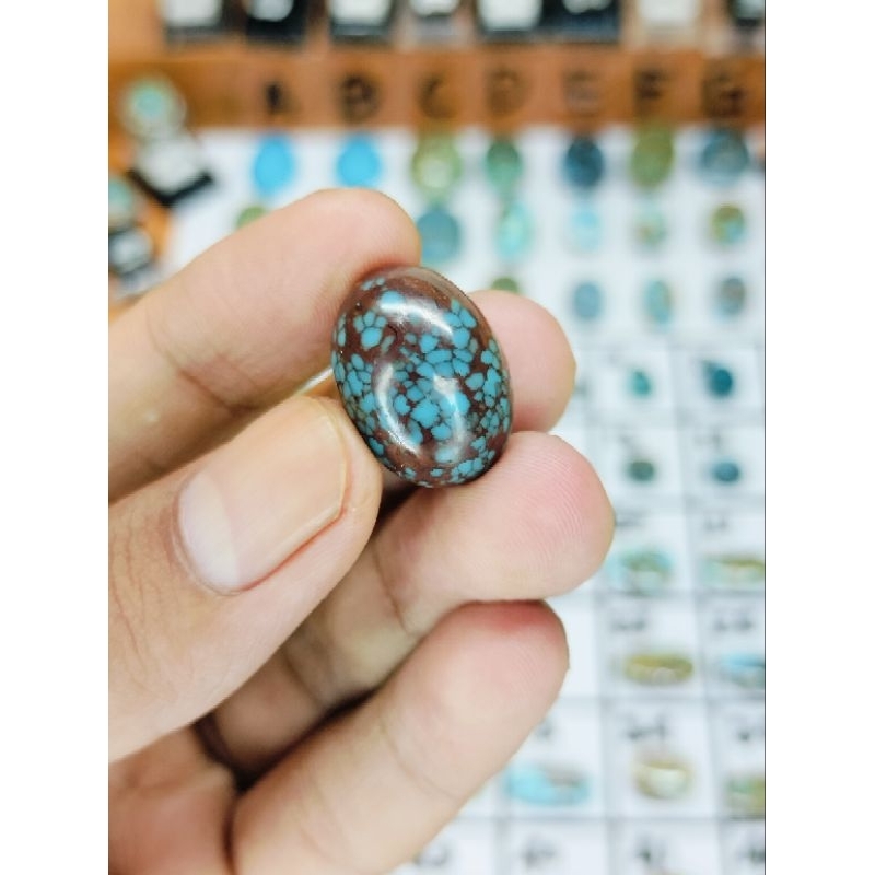Pirus Mesir