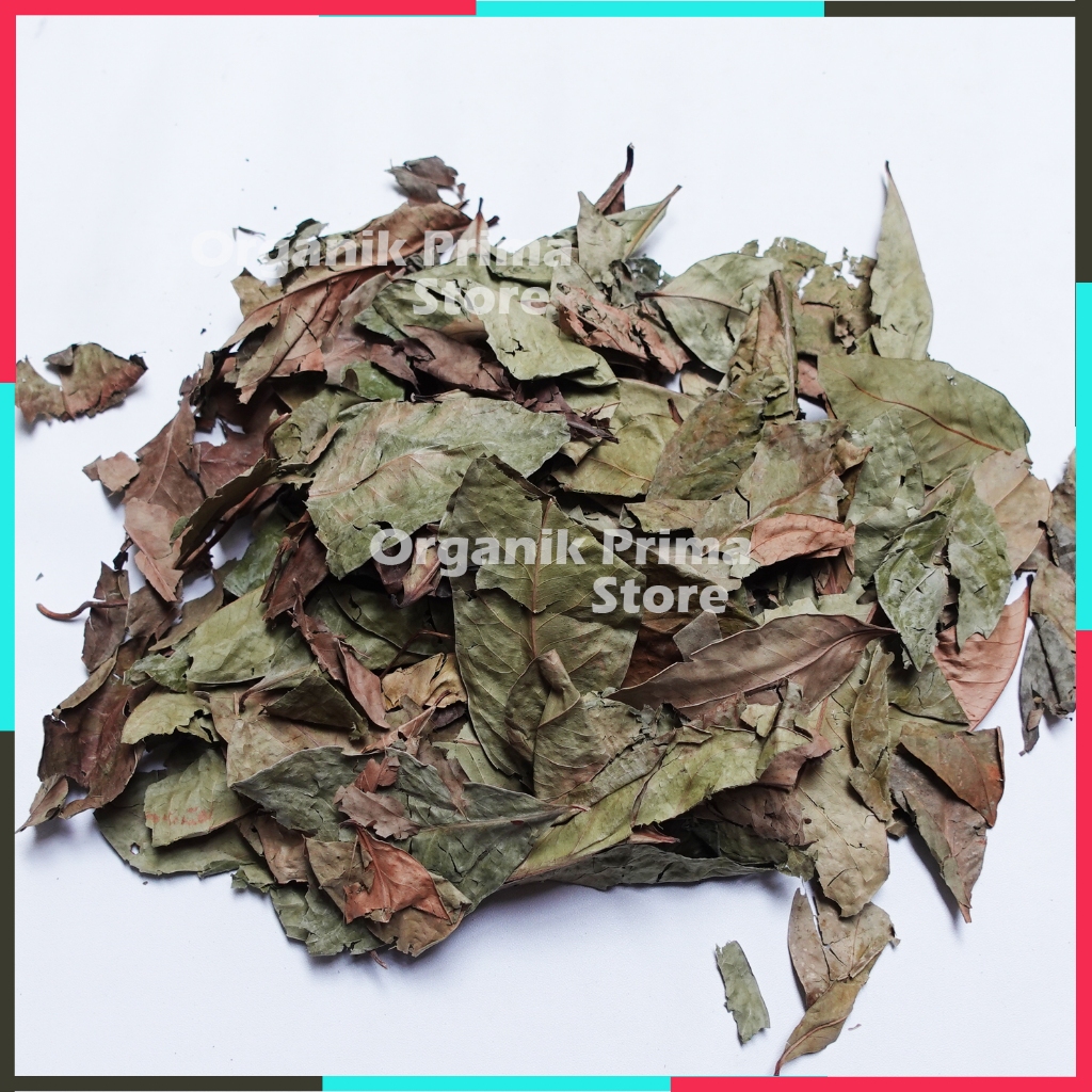 

Daun Salam 100gr Kering Asli dan Organik