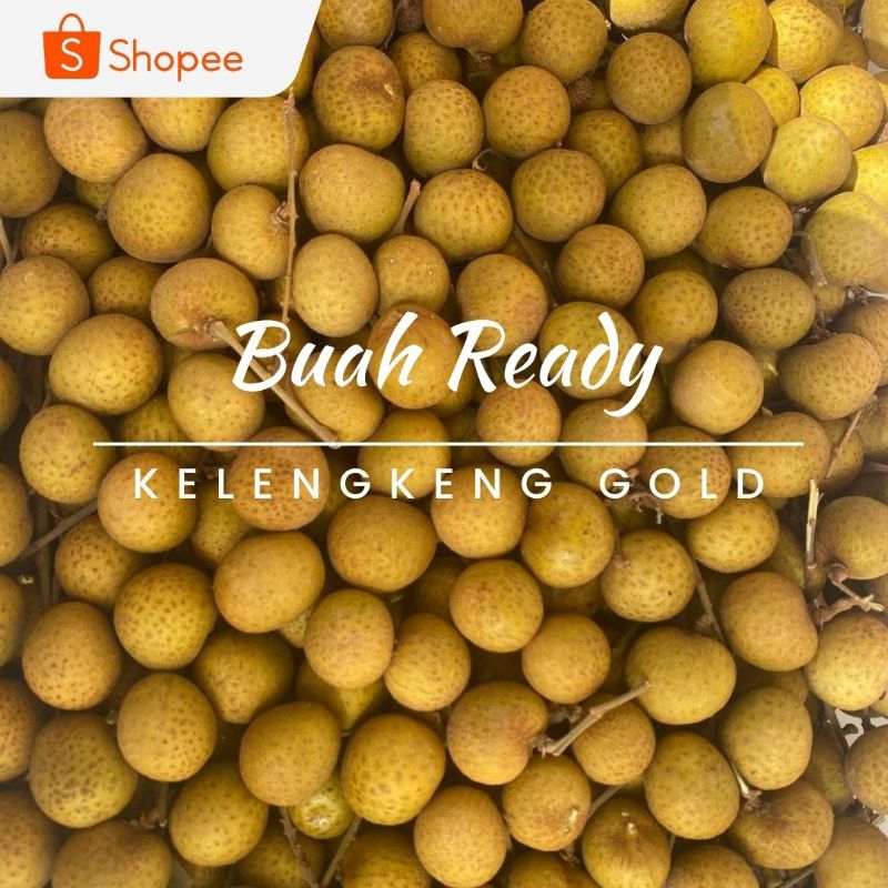 

KELENGKENG GOLD / KG