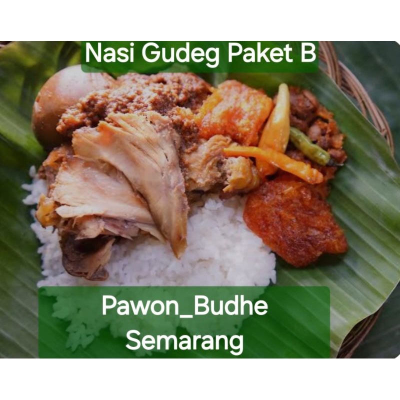 

nasi gudeg paket B