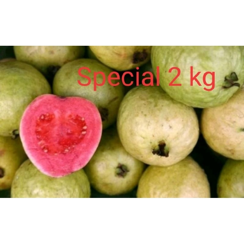 

jambu merah spesial 2 kg