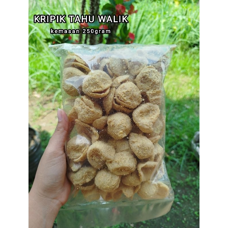 

KRIPIK TAHU WALIK