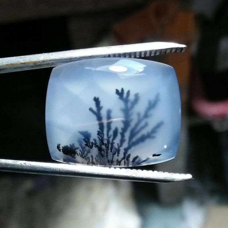 Batu Kristal Gambar Tumbuhan - Dendrite Crystal Chalcedony - Serat KuraBukan Batu Red Baron Pacitan 