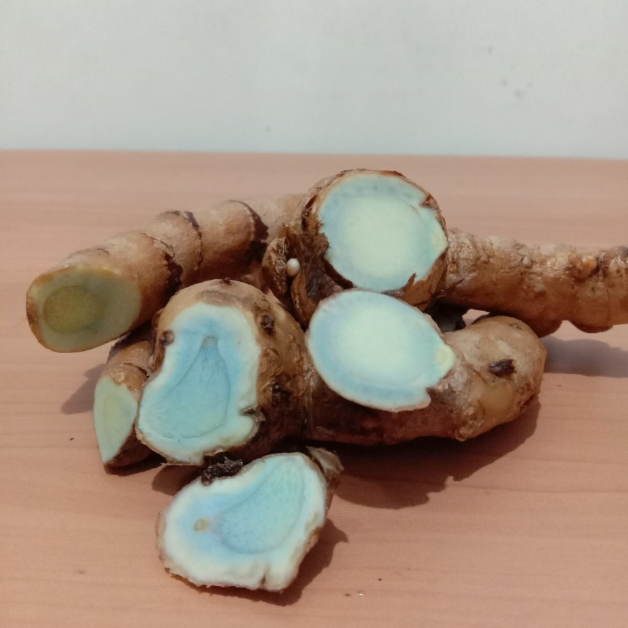 

TEMU HITAM , K HITAM / Temu Ireng / Curcuma aeruginosa