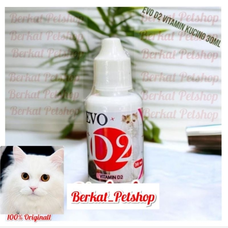 EVO D2 drop mengatasi virus panleu calici feline distemper diare pada kucing