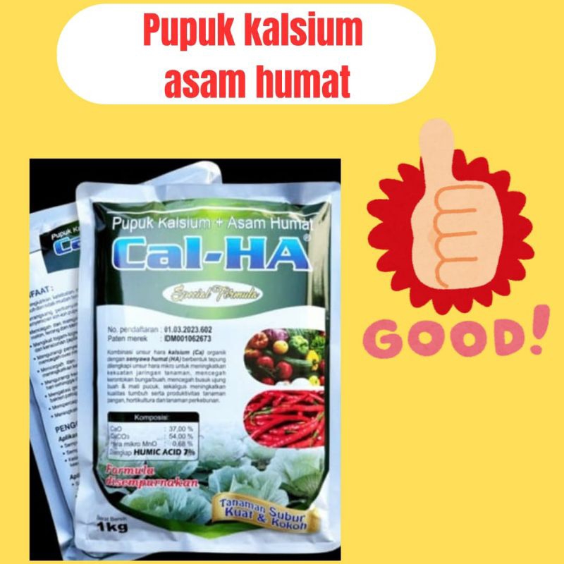 PENGIRIMAN CEPAT..... Fortune Obat Penyakit Kuning keriting Rontok Daun Cabe,Kalsium Boron Pencegaha