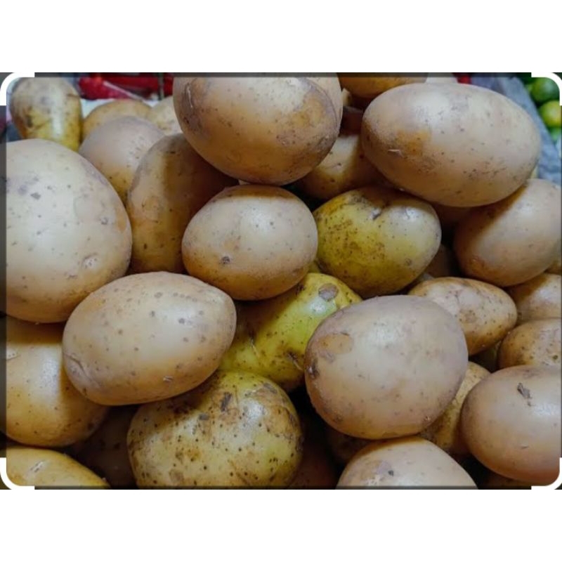 

Kentang 500 gr/ 1 kg