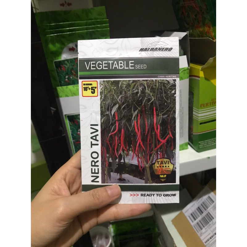 Benih cabai keriting NERO TAVI 10 gram