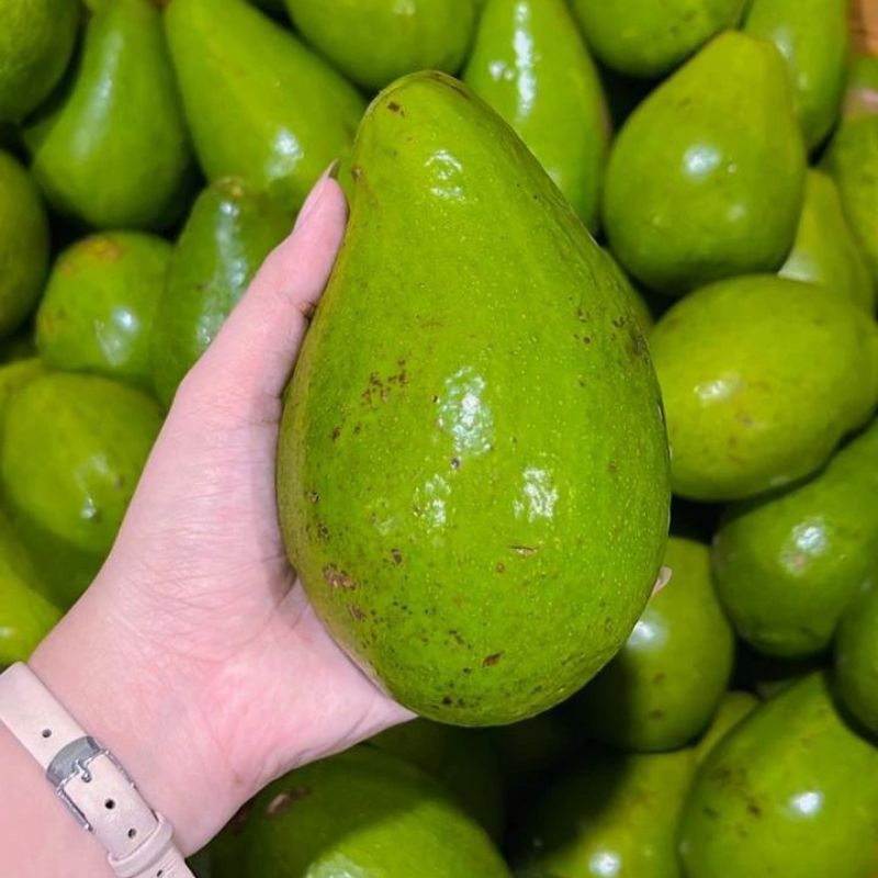 

alpuket mentega 1kg alpuket mentega super alpuket mentega super jumbo alpuket frozen alpuket mentega