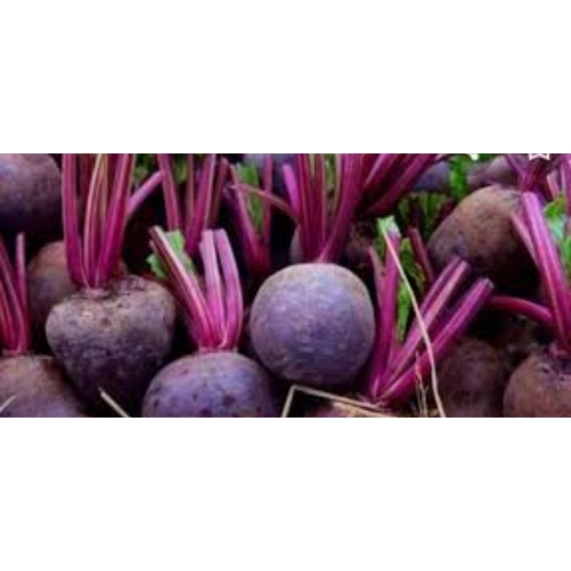 

Buah bitt *hokiobuahsby*