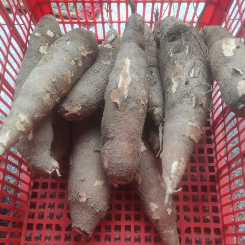 

Singkong ketan (telo ketan) 2kg