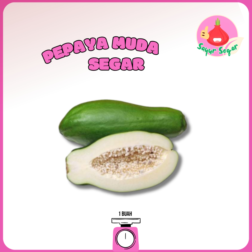 

Sayur Segar - Pepaya Muda Segar 1 Buah /Unripe Papaya