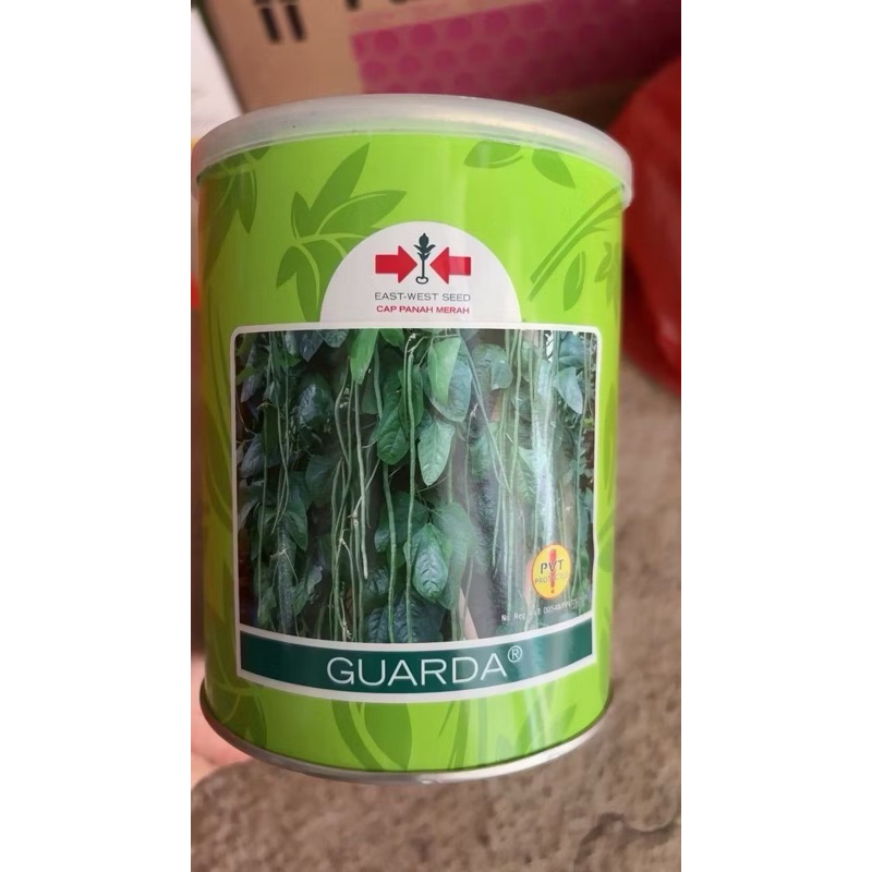 GUARDA (GARDA) / BENIH KACANG PANJANG / 500g