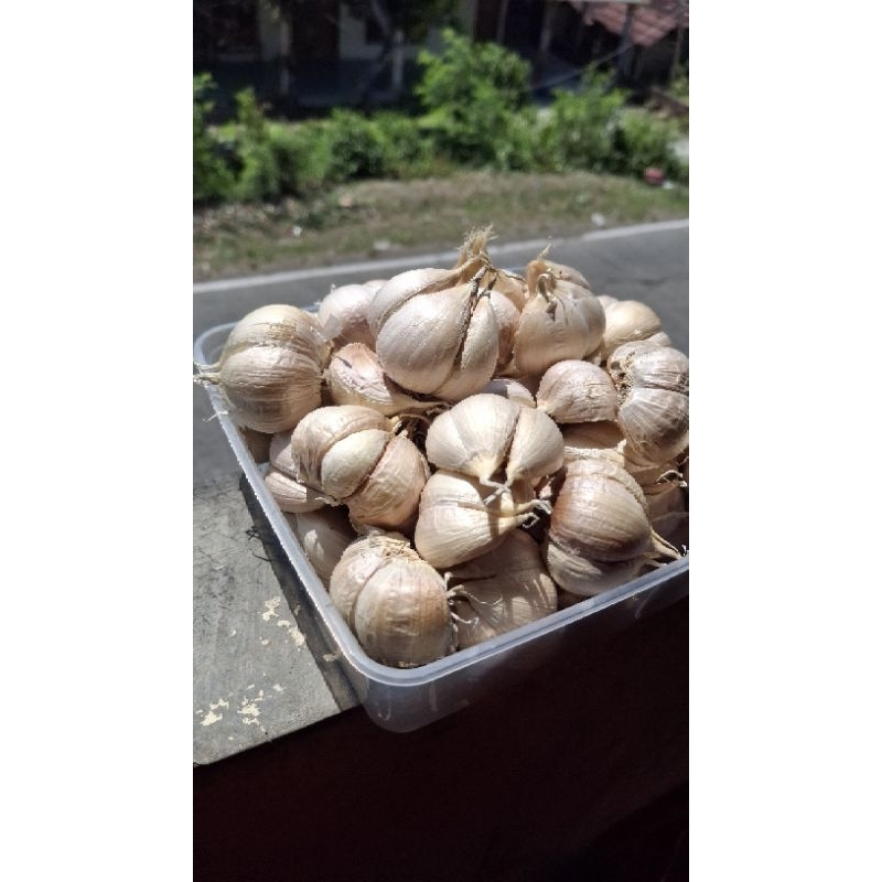 

Bawang Putih Kating super 1 kg