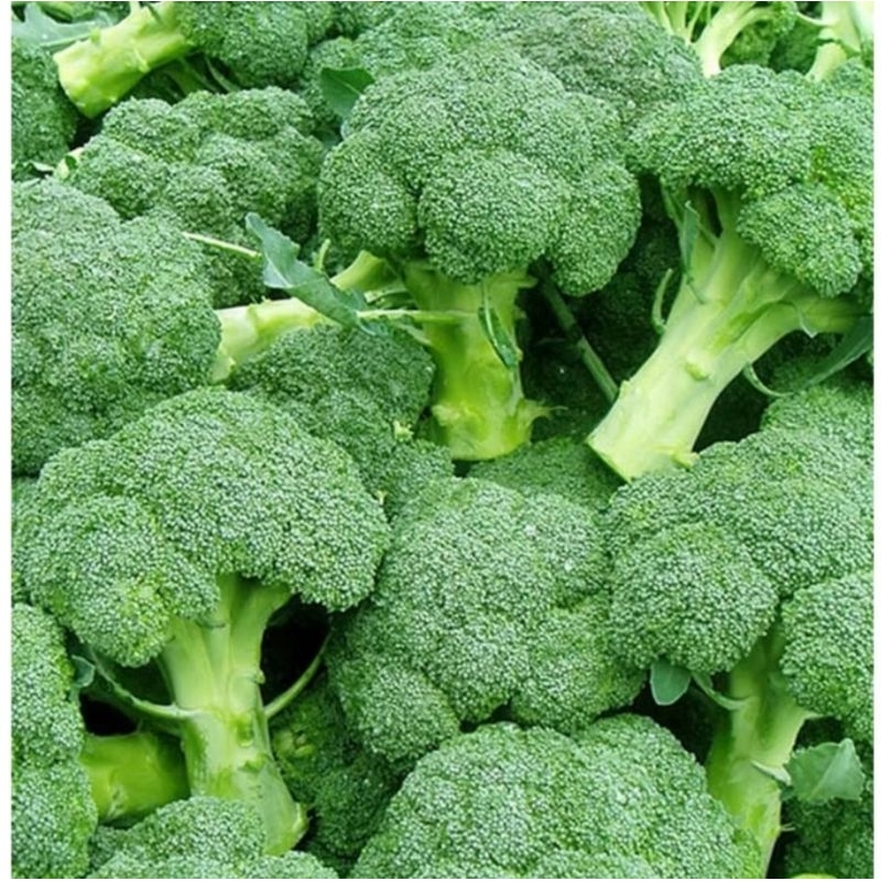 

SAYUR FRESH - BROKOLI HIJAU