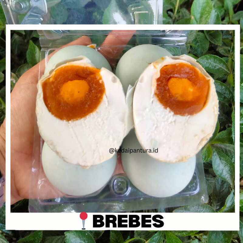 

Telur Asin Rebus KONDISI FRESH BARU ASLI BREBES