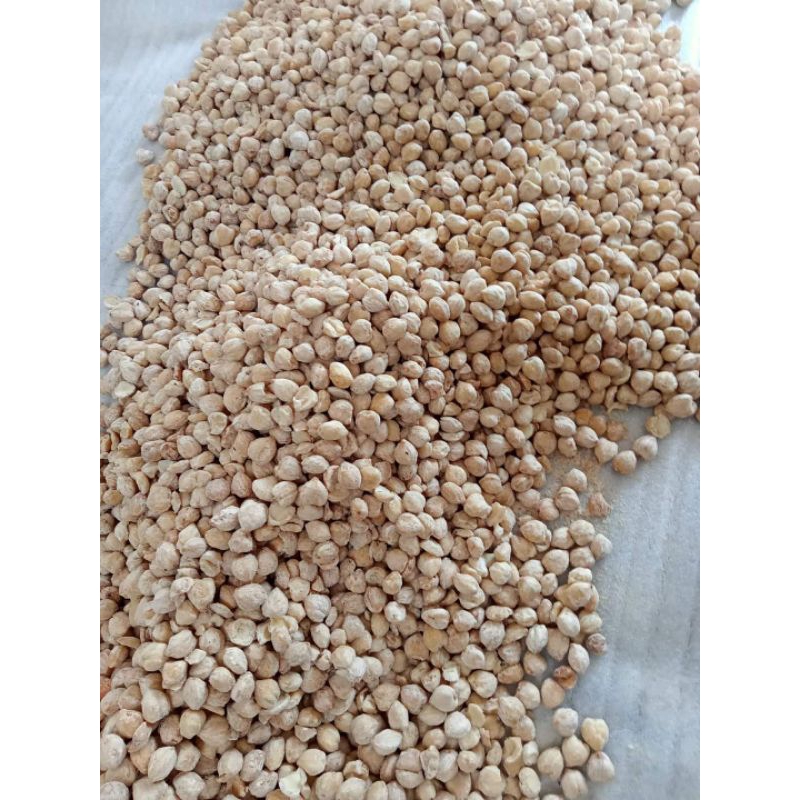 

kemiri kupas utuh dan pecah