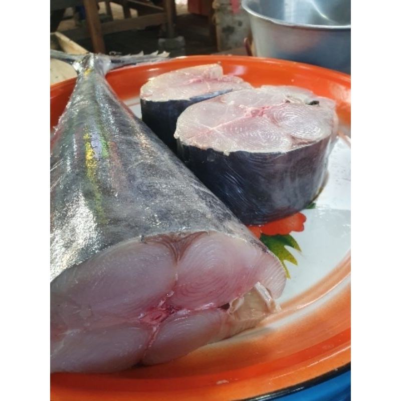 

Ikan Tenggiri Fillet / Ikan Wahoo / Spanish Mackerel