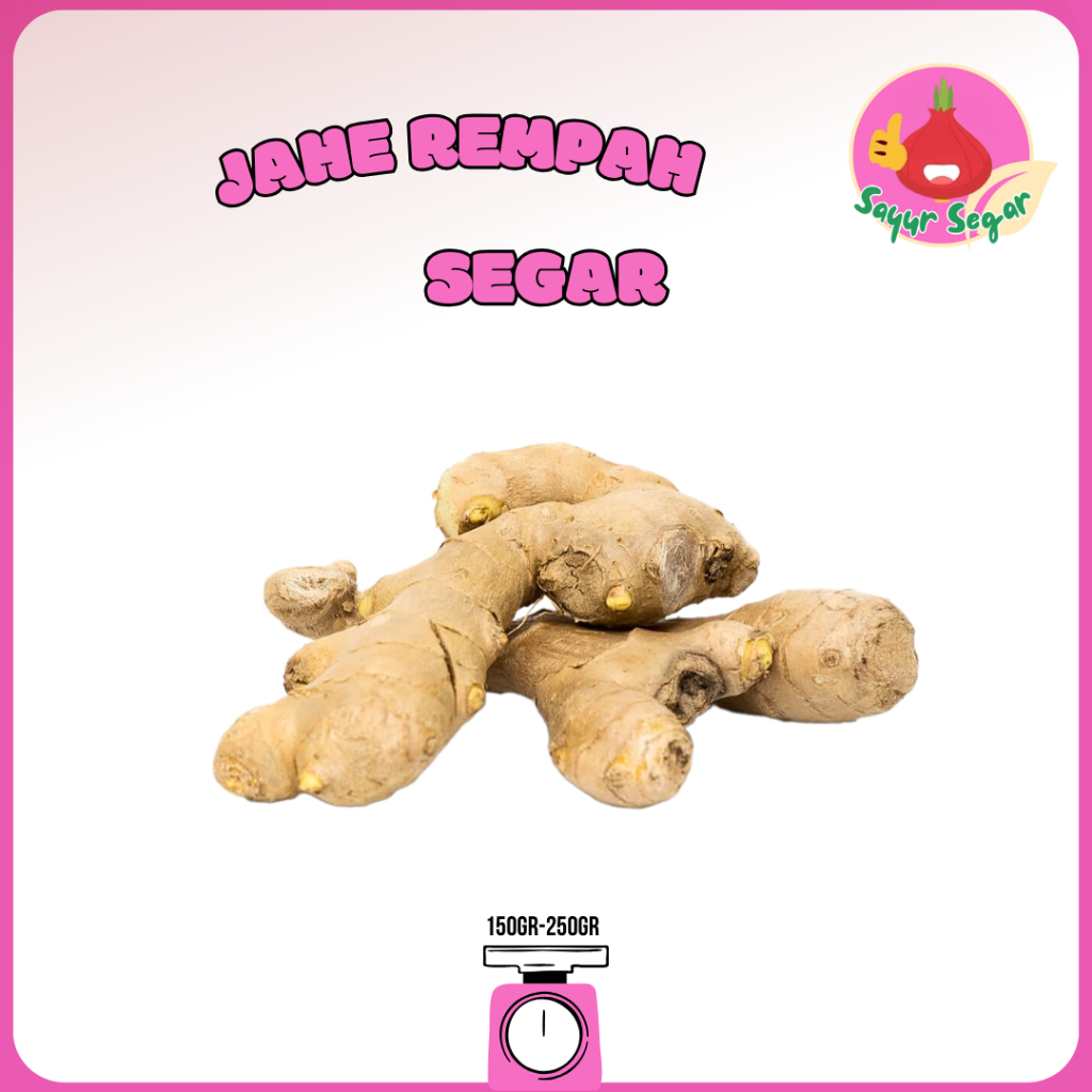 

Sayur Segar - Jahe Rempah / Ginger