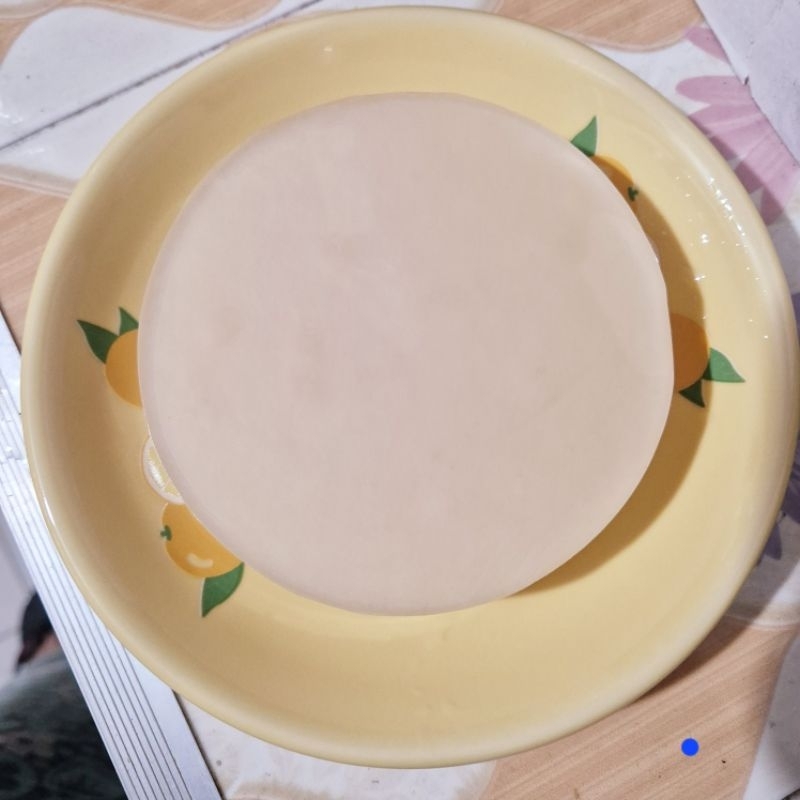 

Bibit Scoby Jamur Kombucha Tea