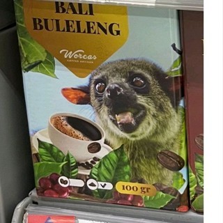 

worcas kopi luwak bali buleleng 100gr