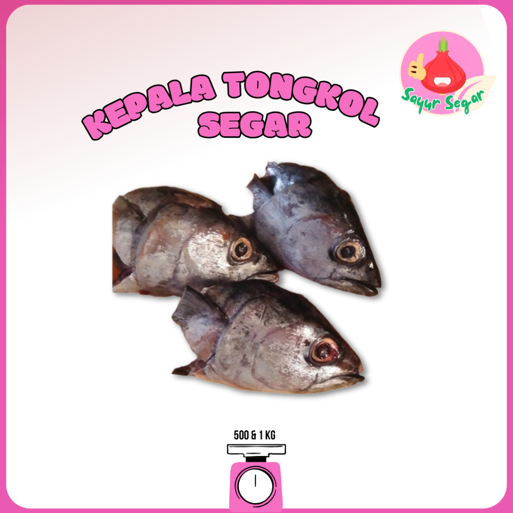 

Sayur Segar - Kepala Ikan Tongkol Segar/ Skipjack Tuna Head