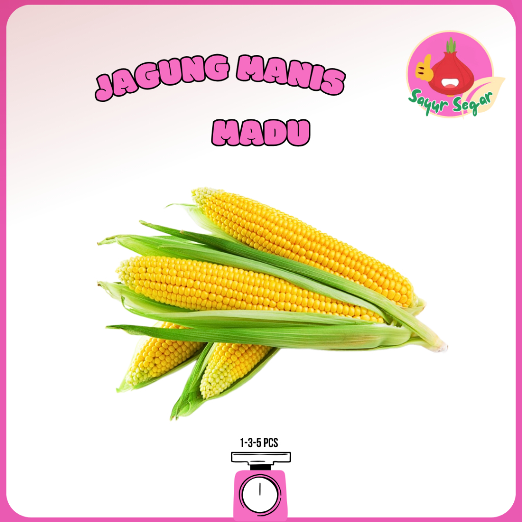 

Sayur Segar - Jagung Manis Madu / Sweet Corn