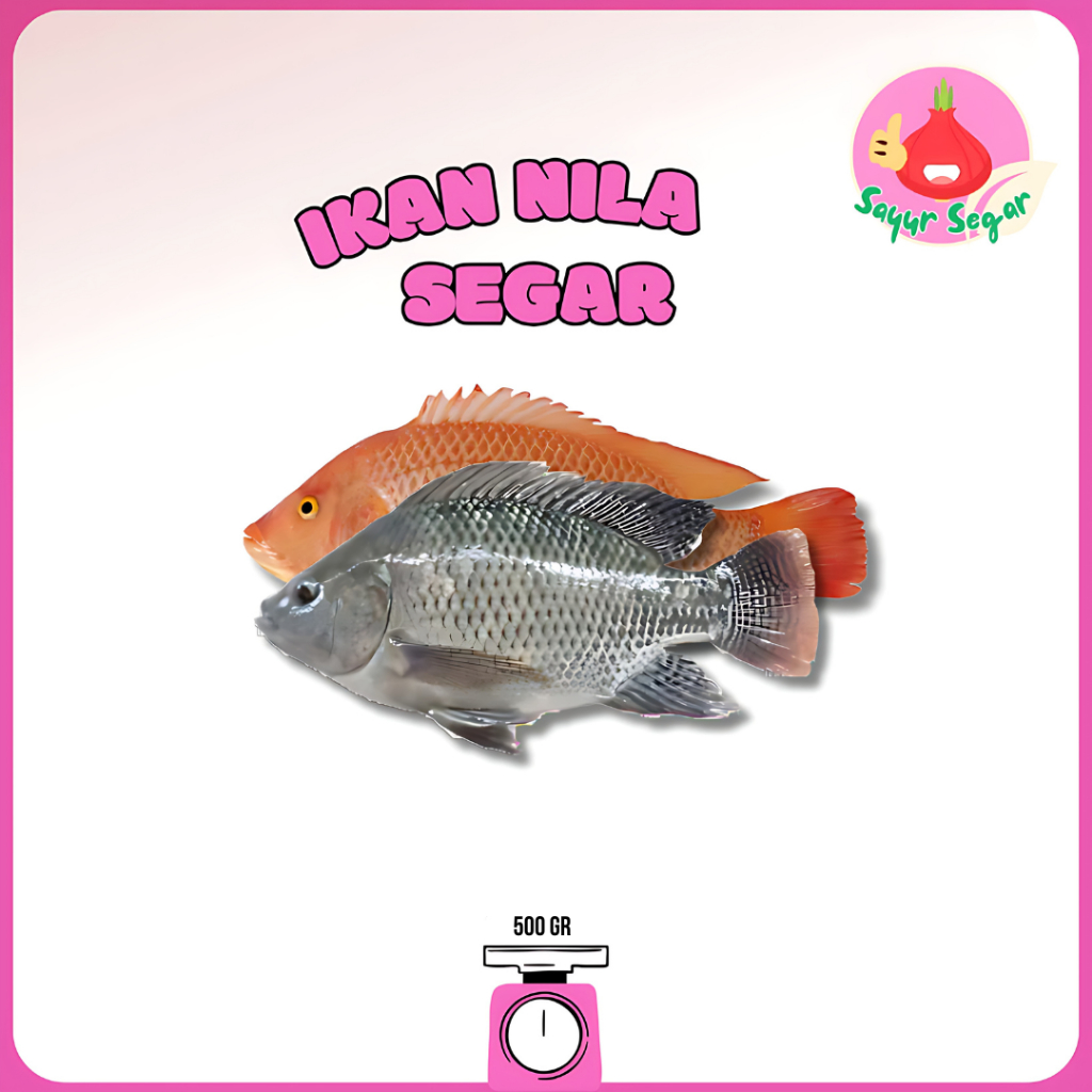 

Sayur Segar - Ikan Nila Segar/Nile Tilapia 500 gr