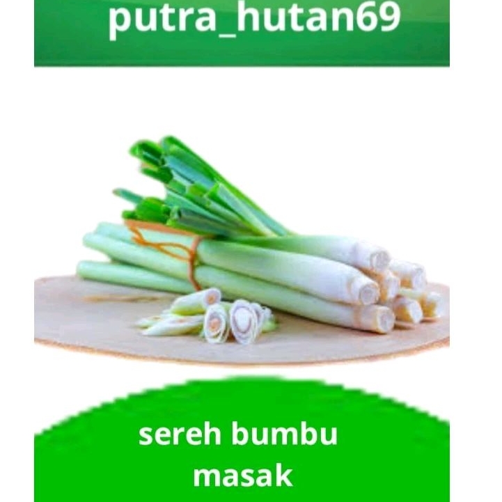 

SEREH BUMBU MASAK